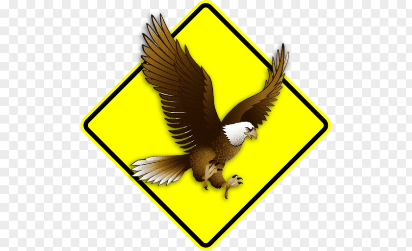 Learn Driving School Clip Art Bald Eagle Openclipart Image PNG