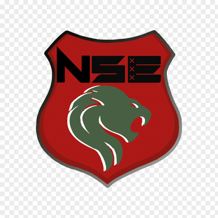 NSE Technical Support Logo Amsterdam Premier League PNG