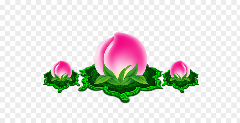 Peach St. Longevity Saturn PNG