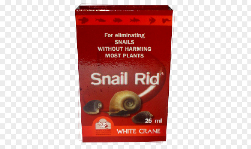 Ramshorn Snail Pharmaceutical Drug Milliliter Fish Drop Water PNG