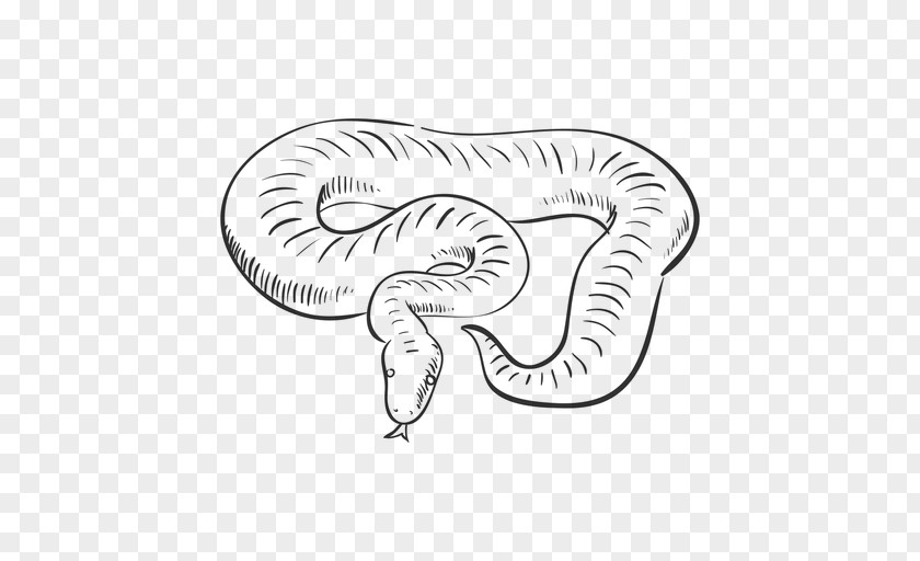 Snake Drawing Reptile Clip Art PNG