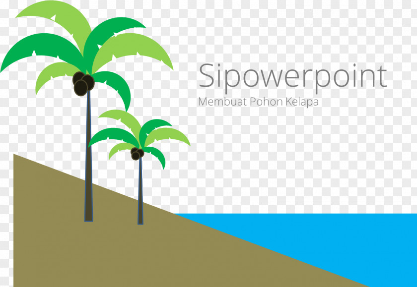 Tree Coconut Microsoft PowerPoint Ppt Image PNG