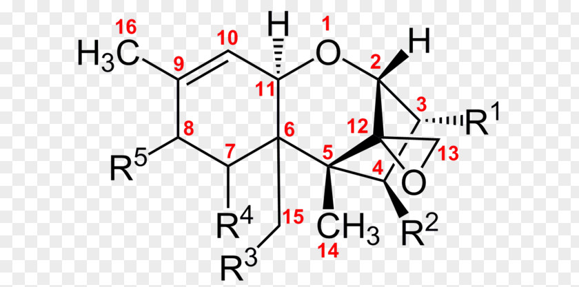 Trichothecene T-2 Mycotoxin Diacetoxyscirpenol Mold PNG