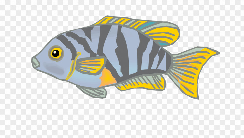 Vector Striped Ornamental Fish Material Carassius Auratus PNG