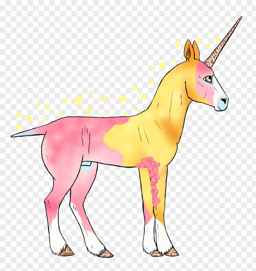Behold Pattern Mule Unicorn Pony Drawing Mustang PNG