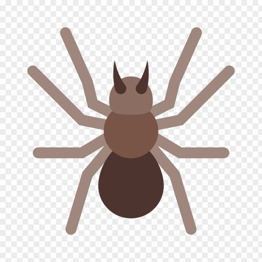 BLACKBOARD Cockroach Insect PNG
