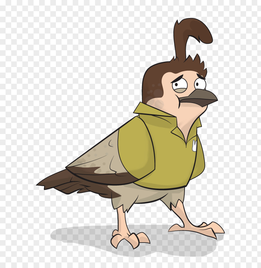 Chicken Cygnini Goose Duck Illustration PNG