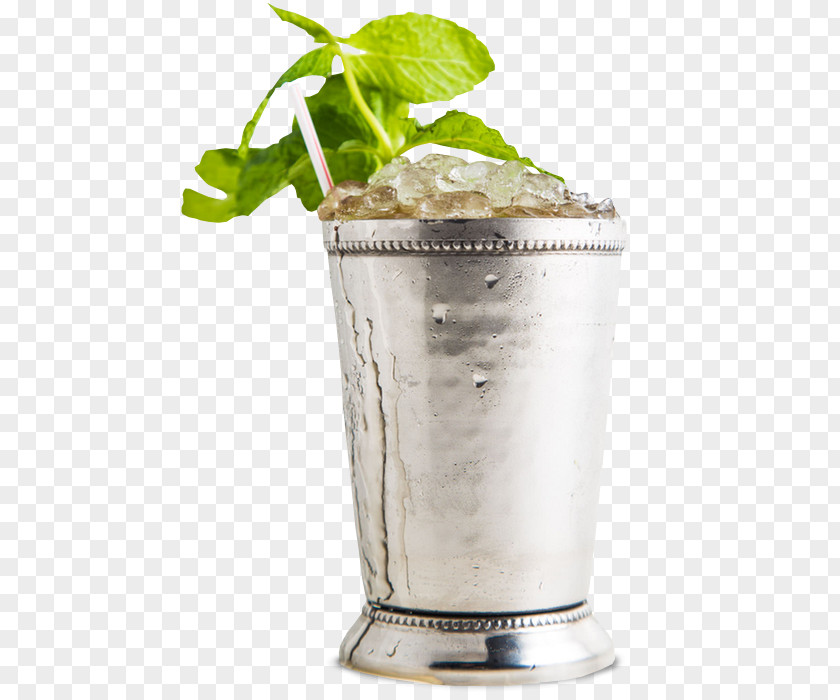 Cocktail Mint Julep Garnish Gin Bourbon Whiskey PNG