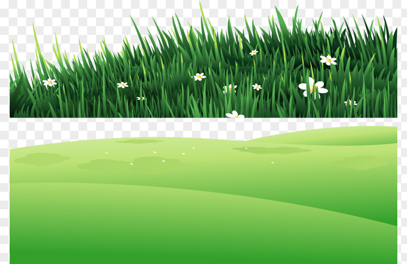 Grass On The Hill Clip Art PNG