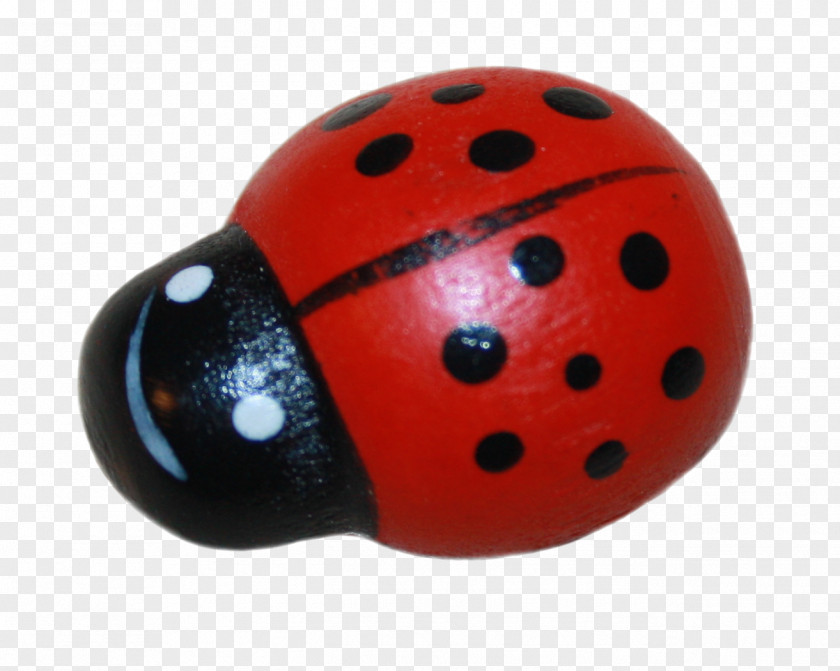 Ladybug Insect Coccinella PNG