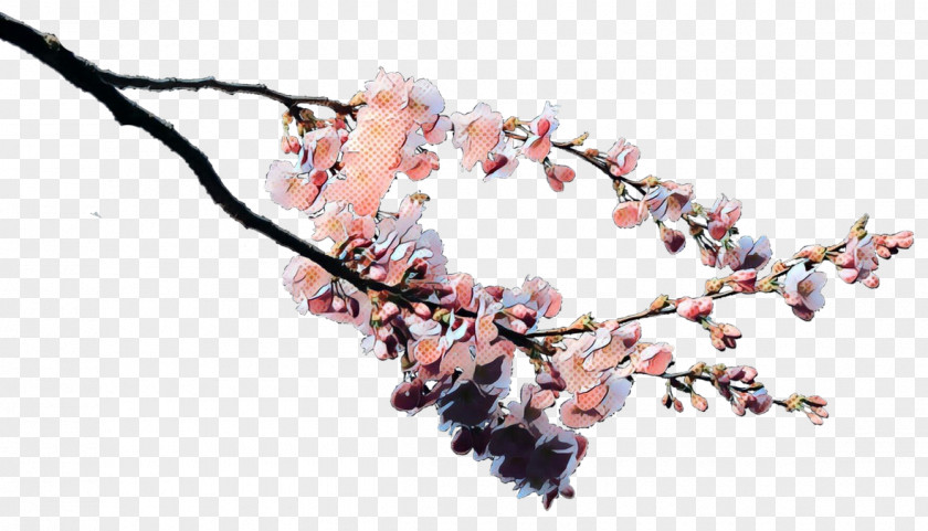 Twig Jewellery Cherry Blossom Tree Drawing PNG