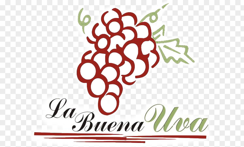 Wine Winery Common Grape Vine Logo PNG