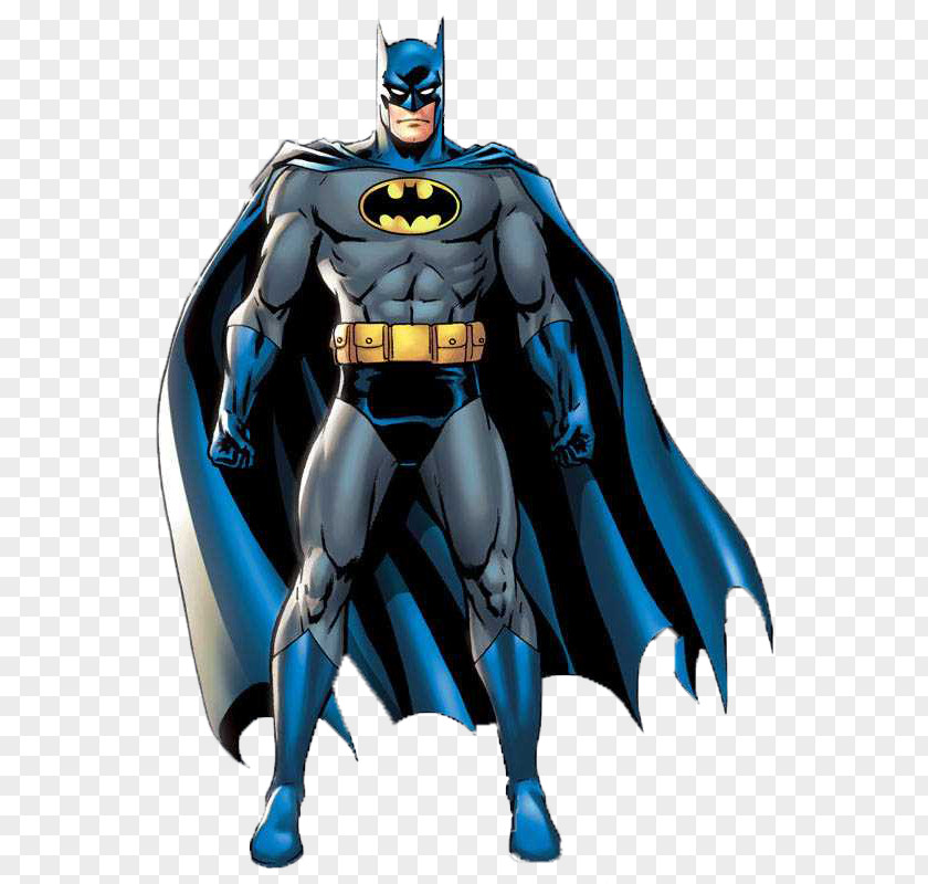 Batman Family Catwoman Robin Comics PNG