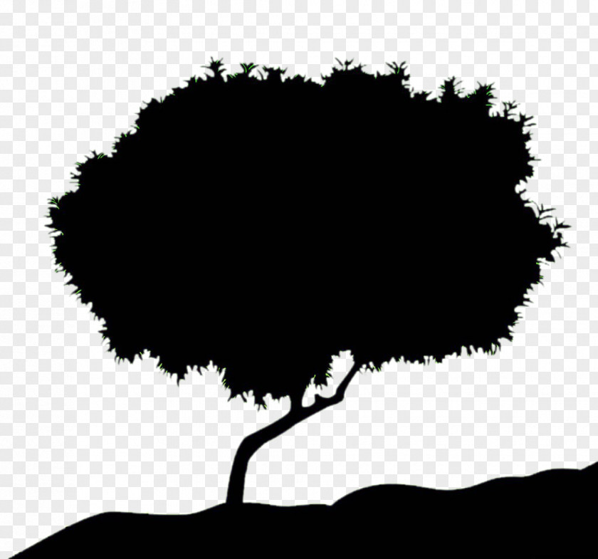 Black Silhouettes Of Trees The Best Kirpal Singh Facebook Very Solid Adventures Handsome Hock And Champion Poh Photography PNG