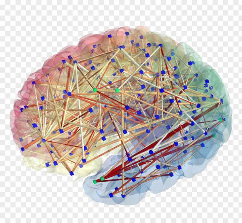 Brain Human Connectome Project Mapping Neuron PNG