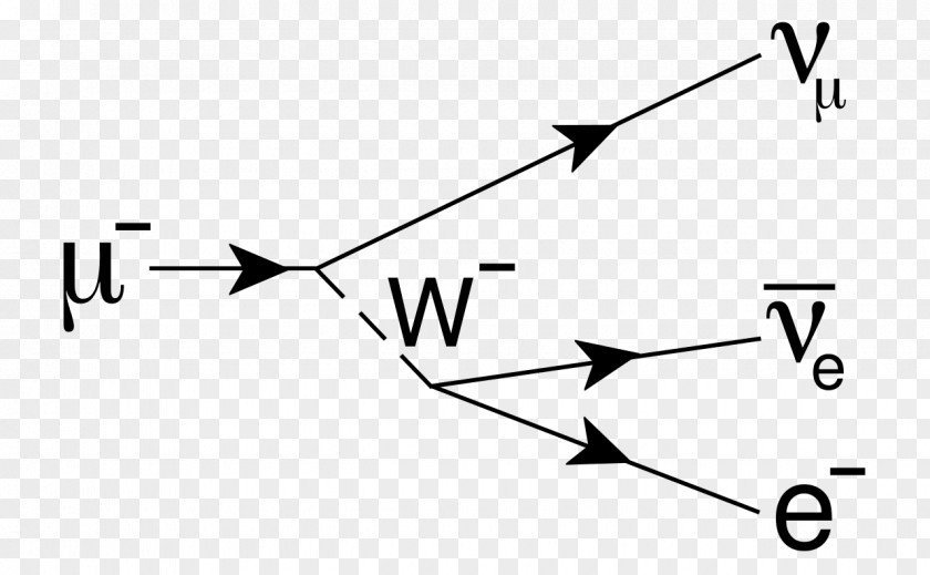 Feynman Diagram Muon Electron Neutrino Particle PNG
