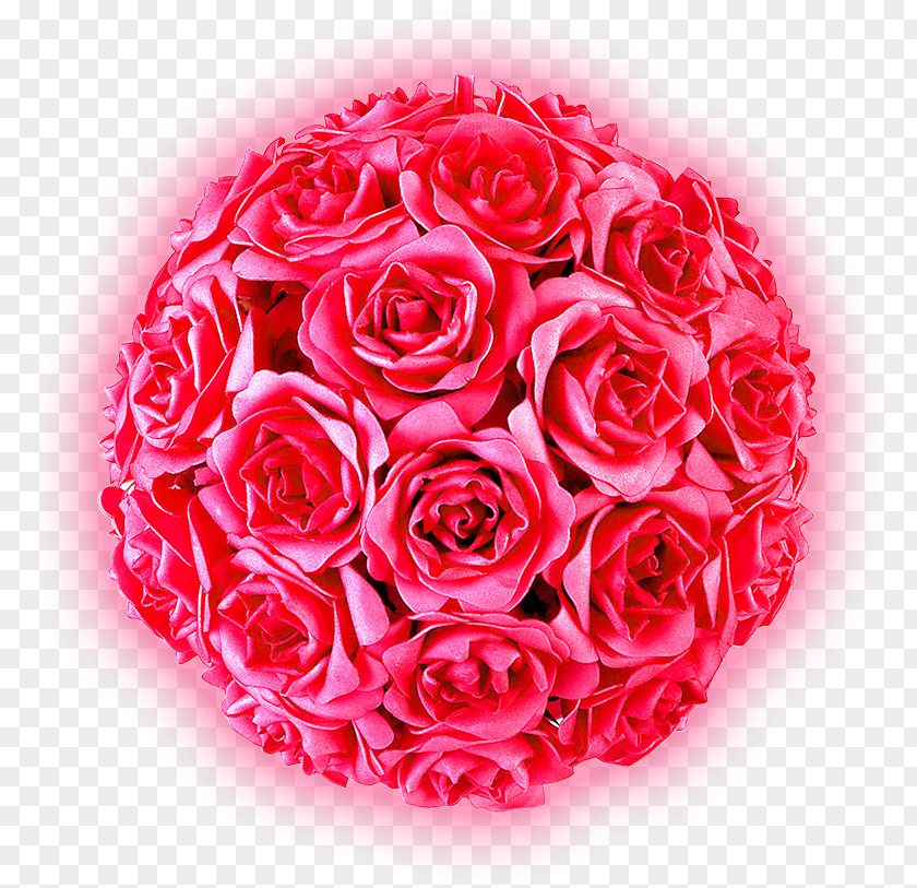 Rose International Womens Day Woman Romance PNG