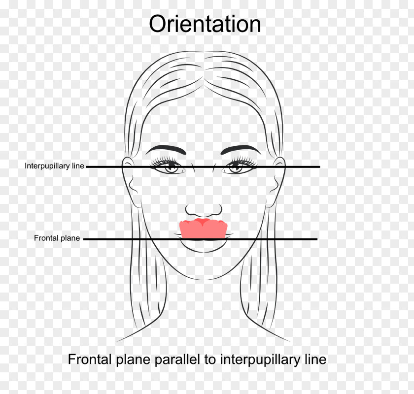 Thick Line Dentistry A Clinical Guide To Occlusion Orthodontics Jaw PNG