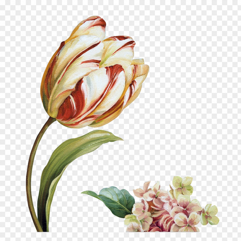 Audit Cut Flowers Floral Design Painting PNG
