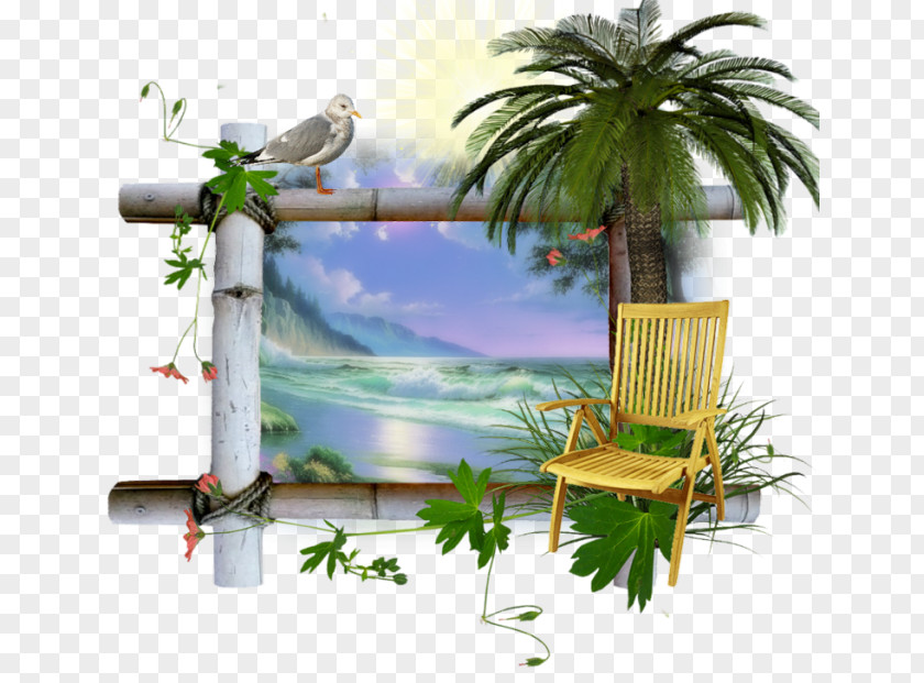 Beach Elements Tutorial Web Browser Blog PNG