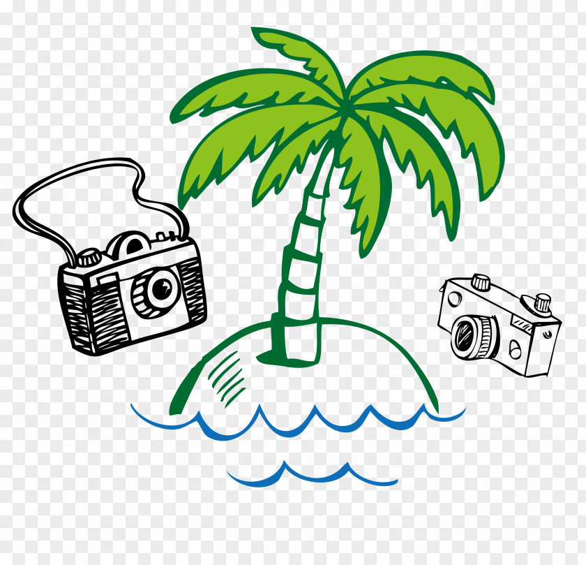 Coconut Tree With The Camera Hand-drawn Vector Banana Clip Art PNG