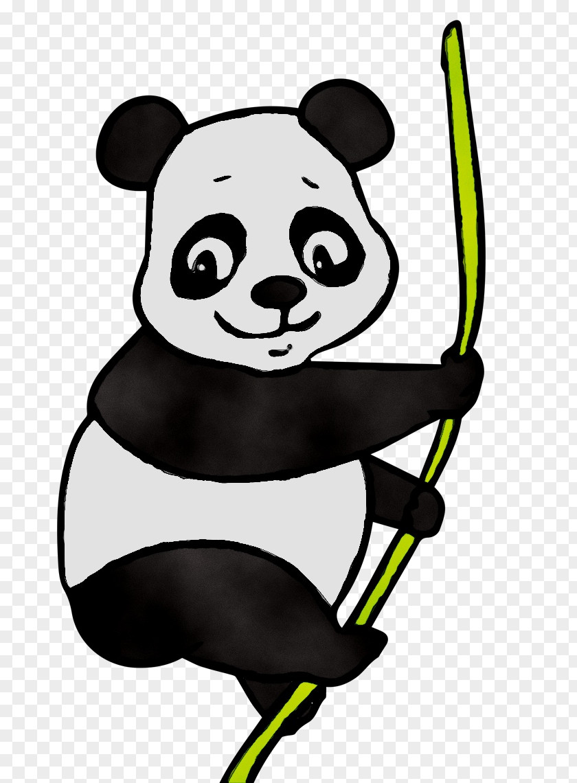 Giant Panda Red Bear Image Drawing PNG