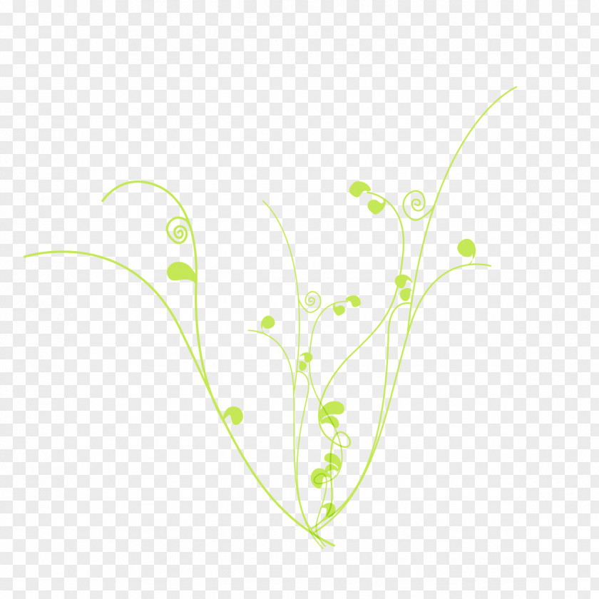 Light Green Background Branches Download Computer File PNG