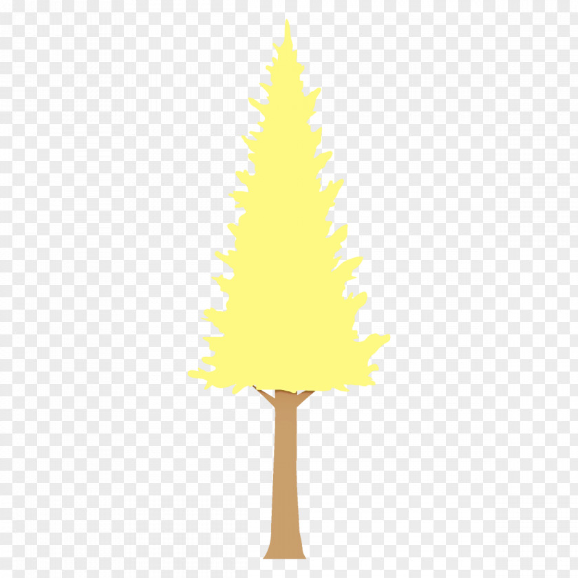 Pine Family Plant Christmas Tree PNG