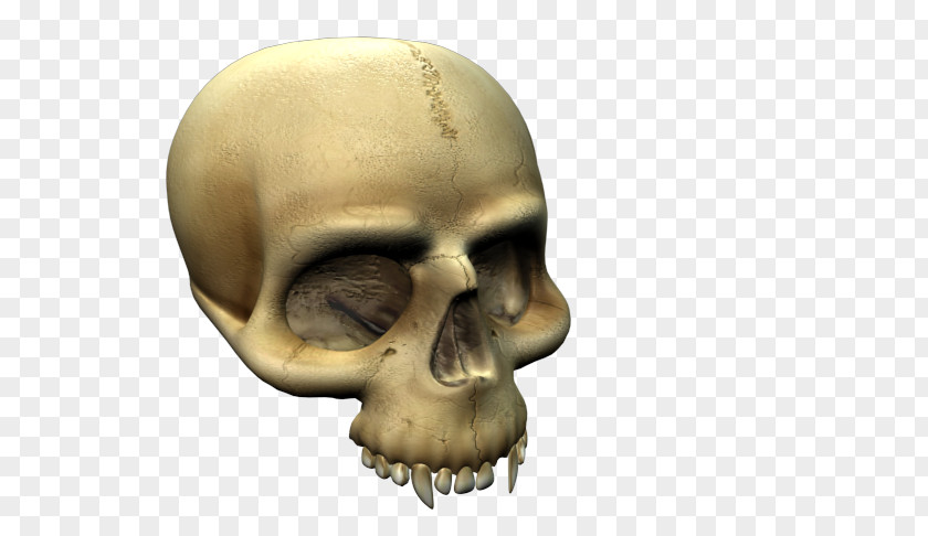 Scary Skull And Crossbones Skeleton Snout Mouth PNG