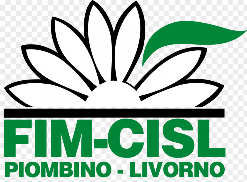 C.i.s.l. Fim Cisl Leaf LogoLeaf Clip Art F.i.m. PNG