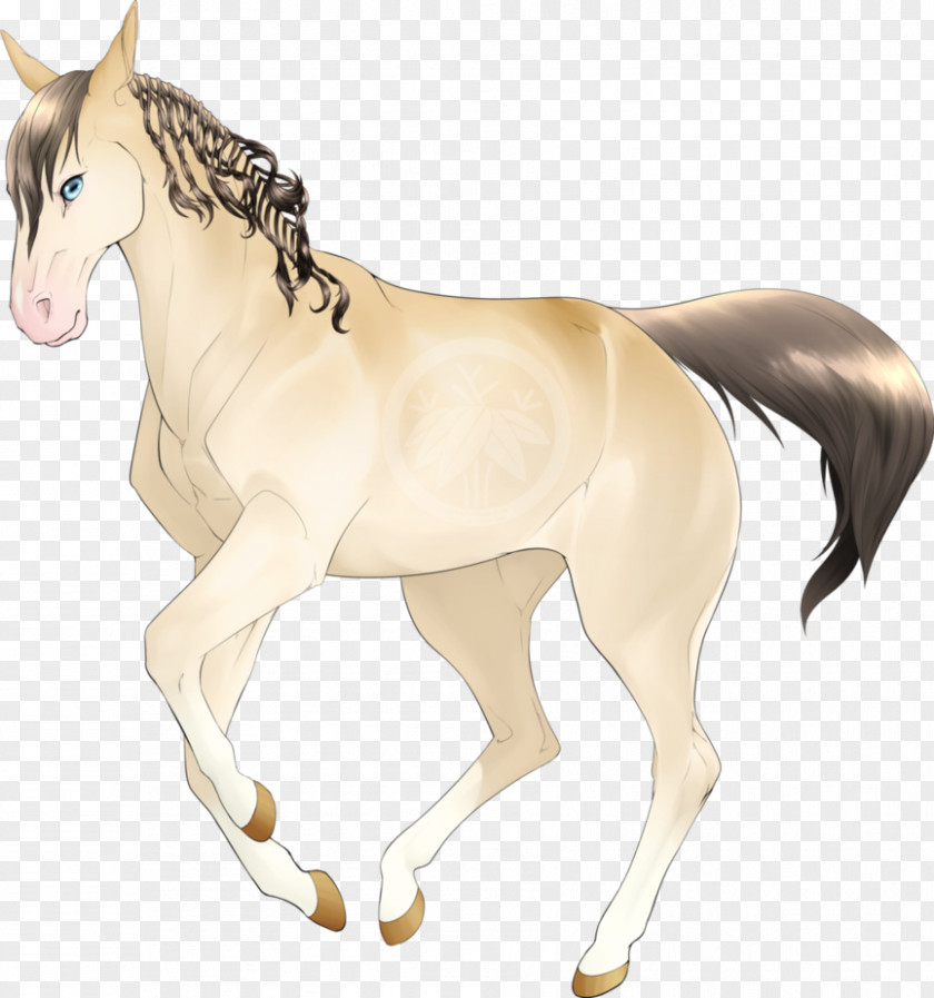 Cream-colored Bavarian Cream Mane Pony Foal PNG