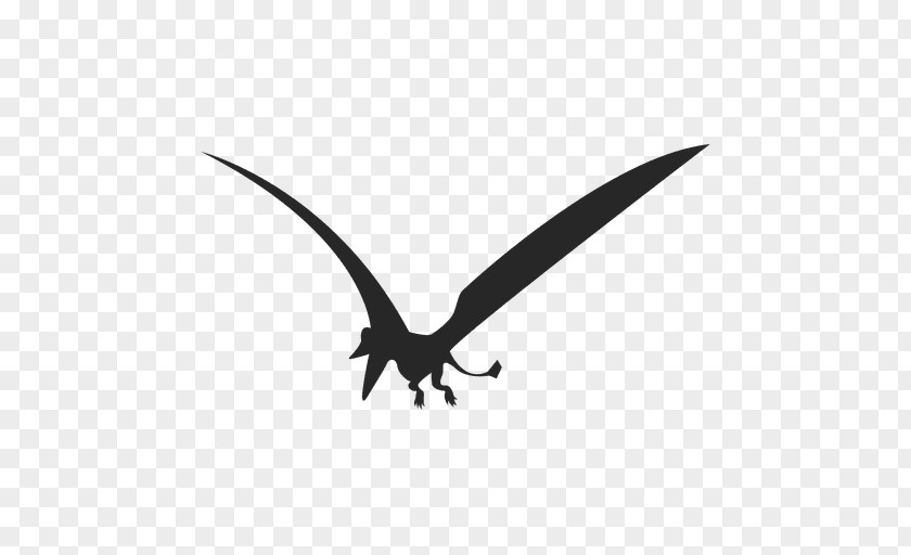 Dinosaur Vector Eudimorphodon Pterosaurs PNG