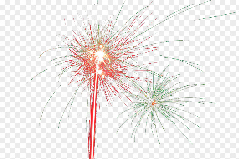 Gorgeous Fireworks Computer File PNG