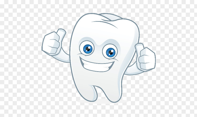 Cartoon Tooth Human Vector Graphics Image Illustration PNG