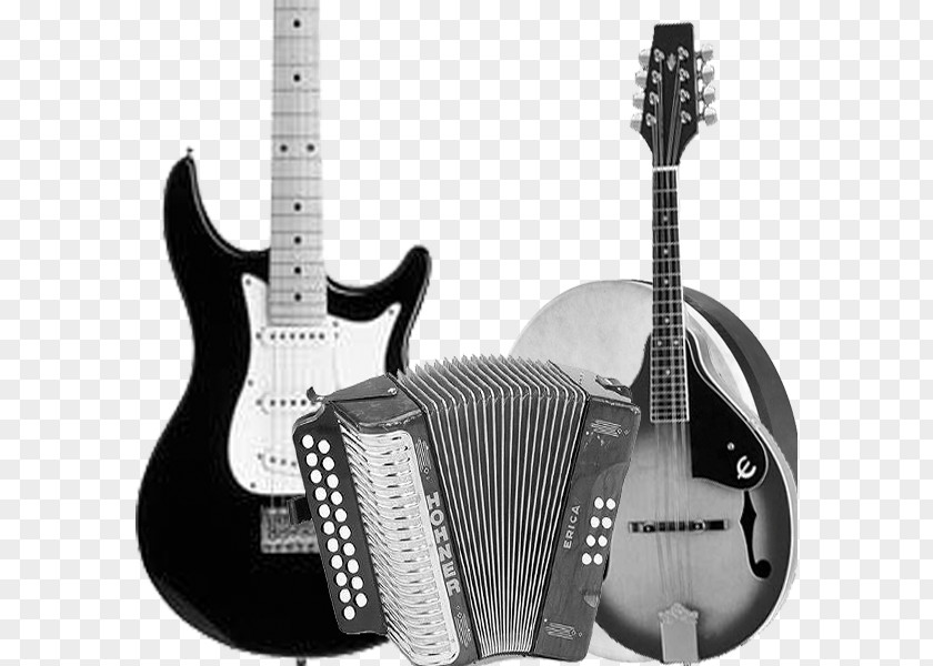 Folk Rock Acoustic Guitar Acoustic-electric Bass PNG