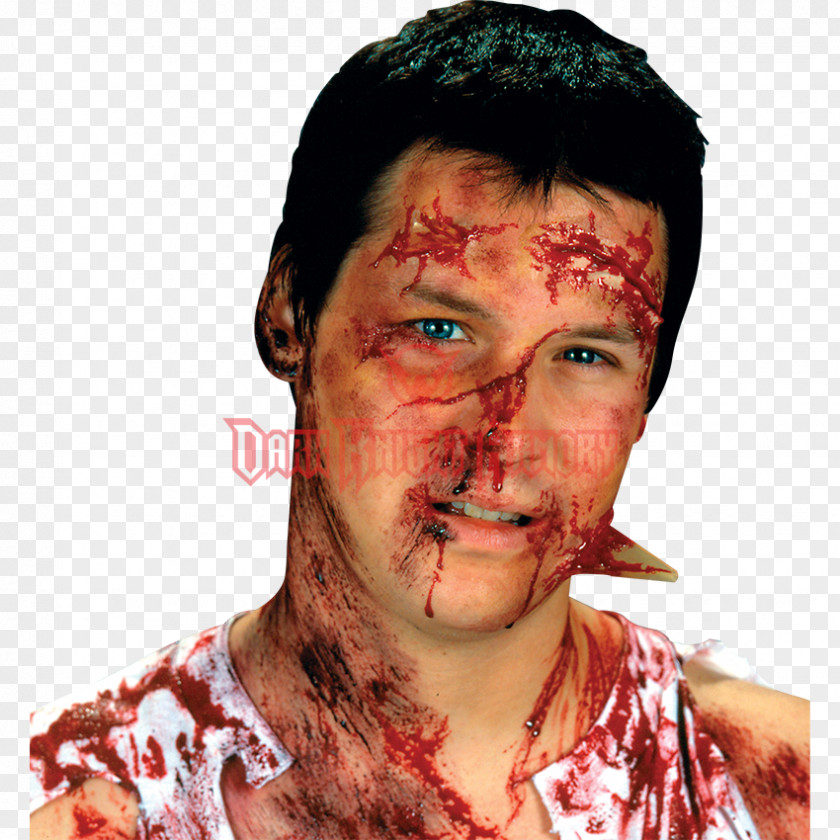Gory Car Crash Accident / FX Make Up Kit Costume Prosthetic Makeup Cosmetics Special Effects PNG