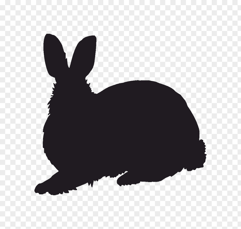 Silhouette Domestic Rabbit Hare Stencil PNG