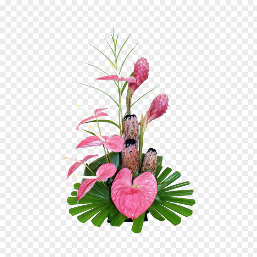 Tropical Flower Hawaii Delivery Floristry Floral Design PNG