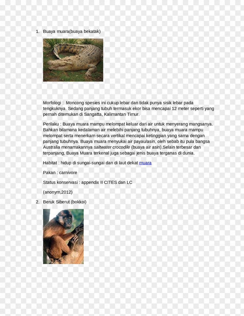 Animal Brochure Font PNG