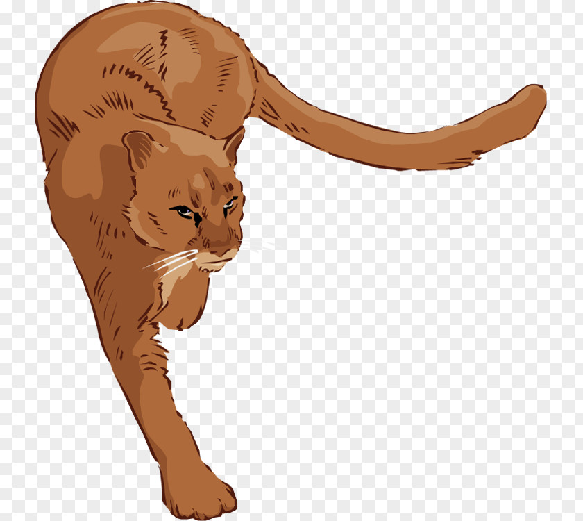 Lioness Cliparts Cougar Lion Clip Art PNG