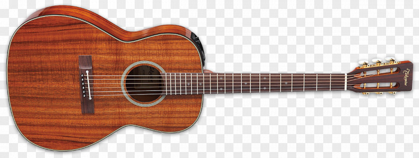 Musical Instruments Takamine Guitars Steel-string Acoustic Guitar Acoustic-electric PNG