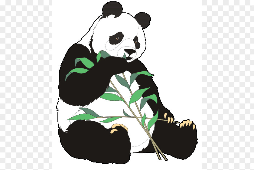 Panda Eating Cliparts Giant Bear Red Clip Art PNG