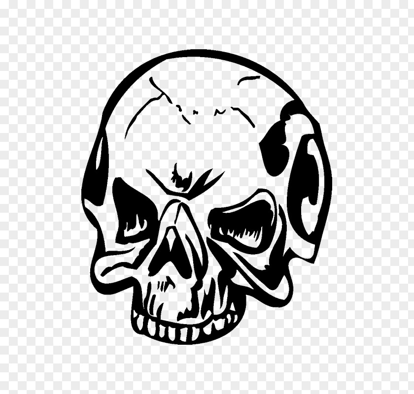 Skull Clip Art Vector Graphics Horn PNG
