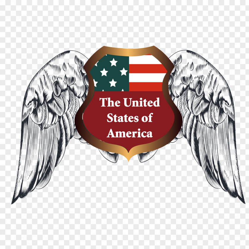 Vector Of The United States America Euclidean PNG