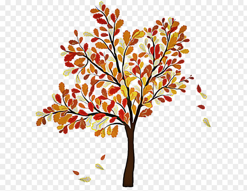 Autumn Flower Tree Leaf Branch Plant Twig PNG