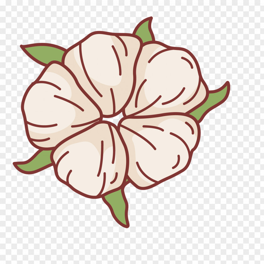 Cotton Capsule Clip Art Design Flower Packaging And Labeling PNG