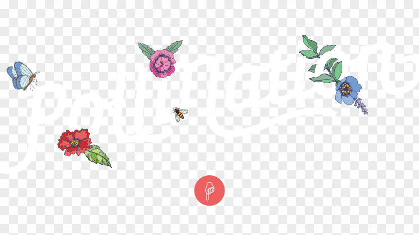 Jewellery Graphics Pollinator Body Font PNG