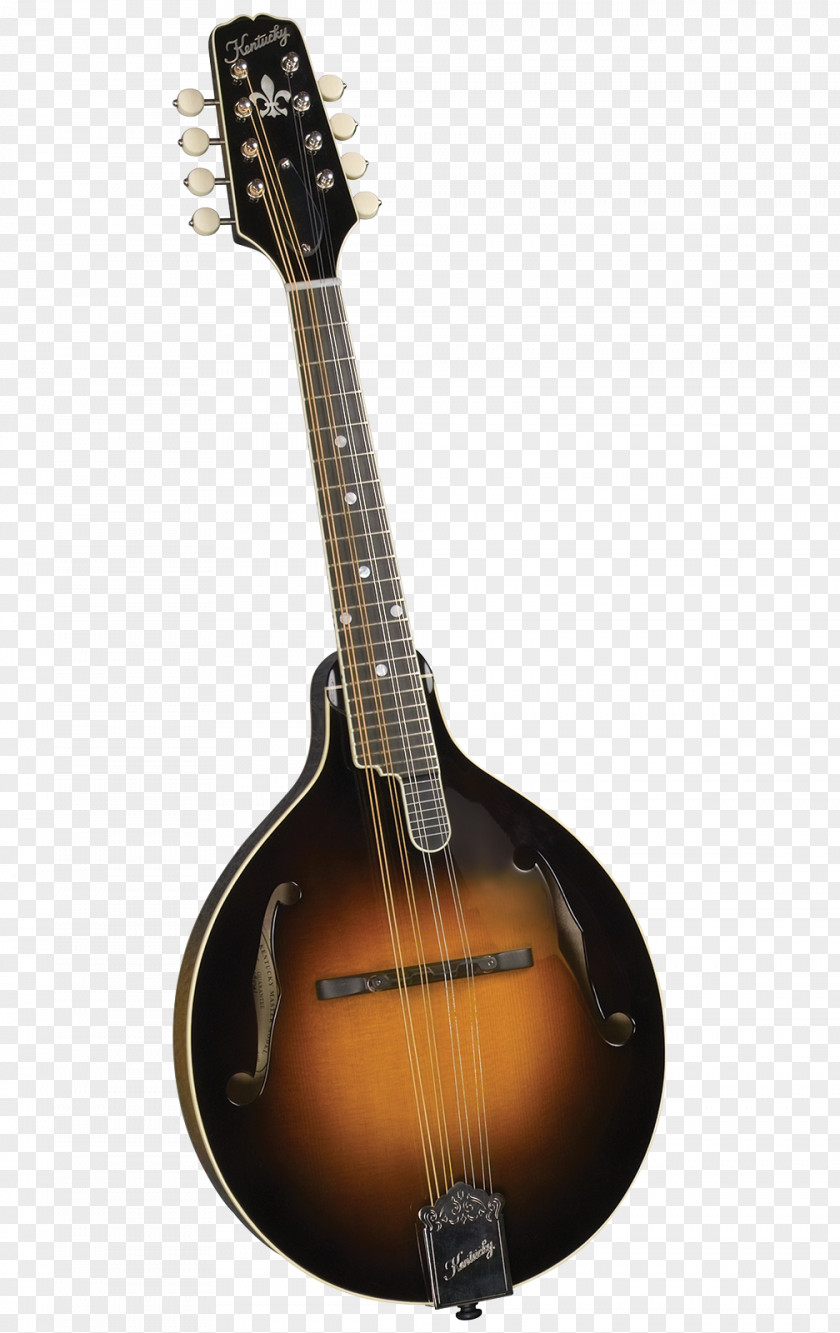 Musical Instruments Mandolin Ukulele Bluegrass Banjo PNG