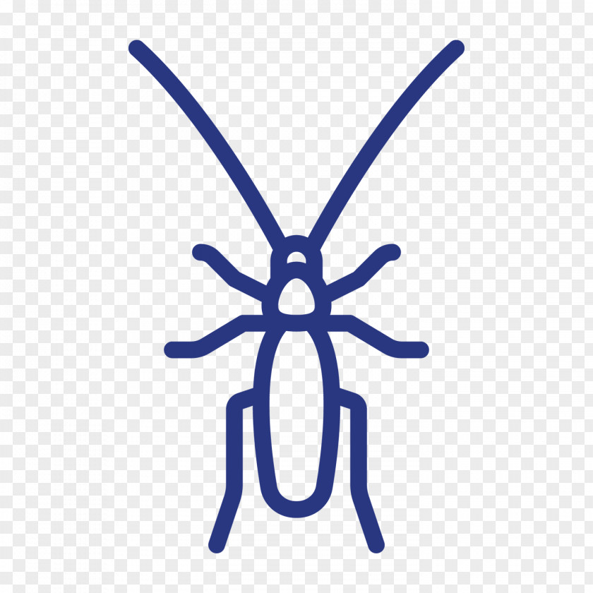 Cockroach Insect Animal PNG