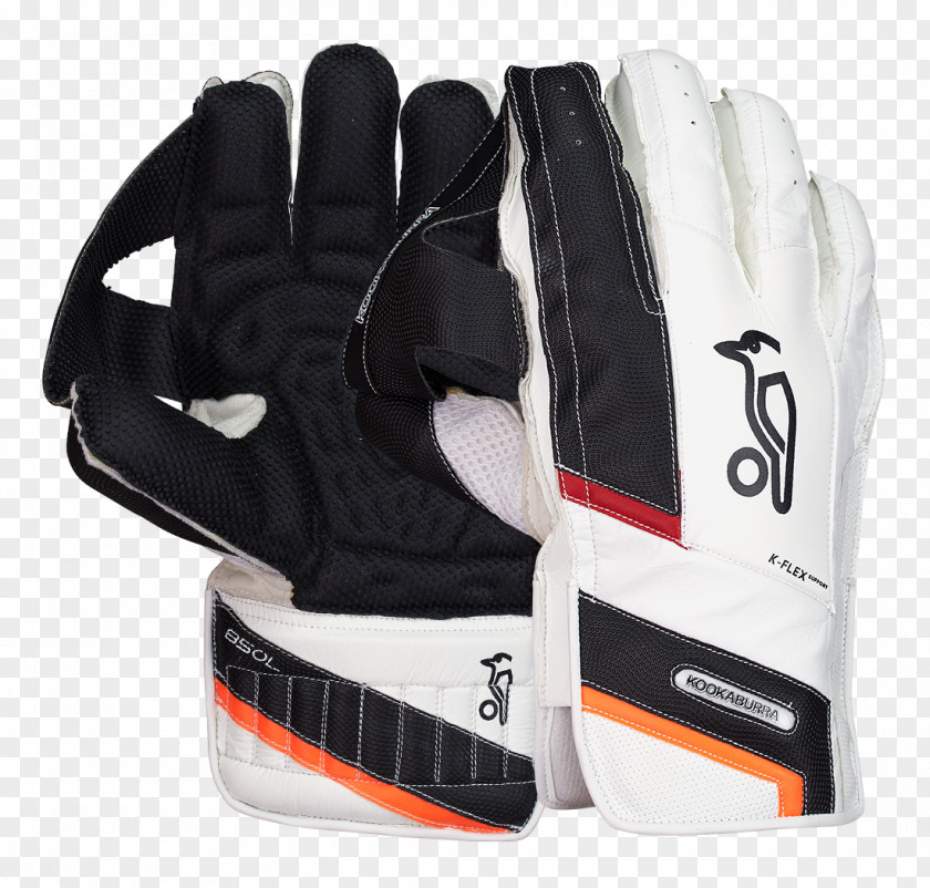 Cricket Wicket-keeper's Gloves Pads PNG